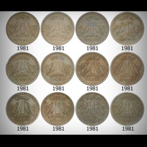 Old Big Dabu 1 Rupee Republic India Coins – set of 12 Coins – Worth Buy