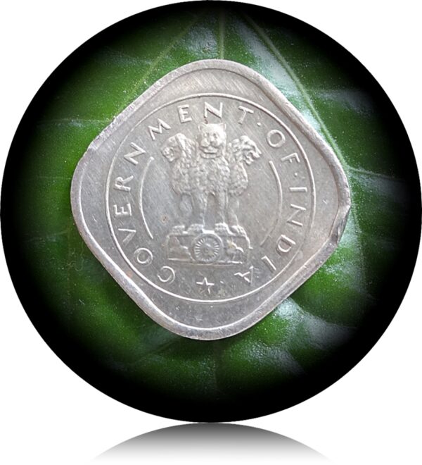 1954 Half Anna Bull Coin Best Value Online (R)