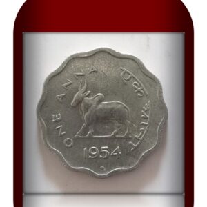 1954 Bull Coin