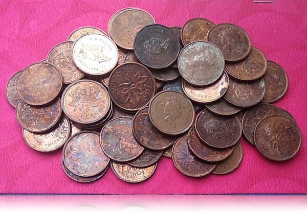 Canada 1 cent 50 coins set - Best Value Buy - Image 2