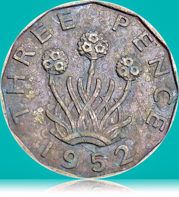 1952 UK Three Pence King George VI- Best Buy - Image 3