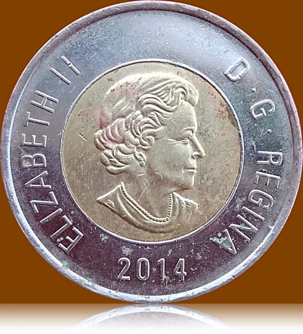 2014 Canada 2 Dollars best online value coin- Worth Buy - Image 3