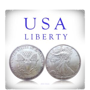 USA Liberty Silver Dollar