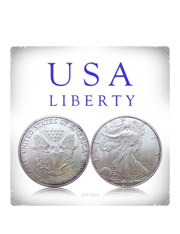 USA Liberty Silver Dollar